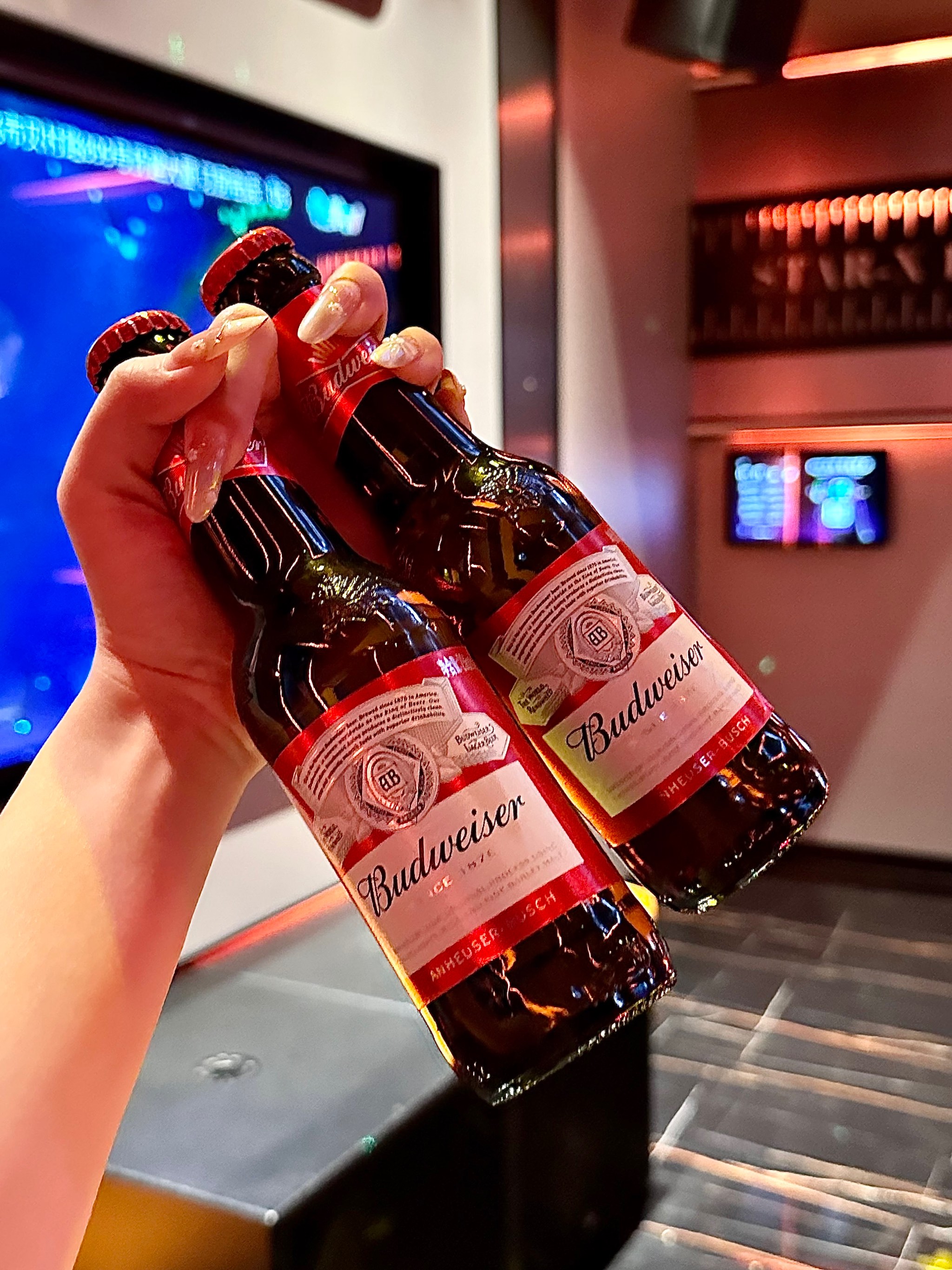 辽阳商务ktv独享房源-宏伟区ktv预定